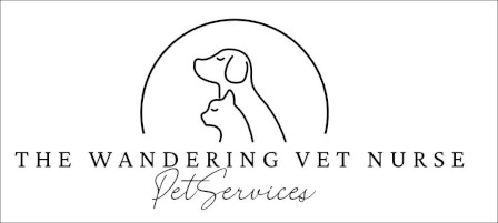 Wandering Vet Nurse. Dog Walking Bedlington